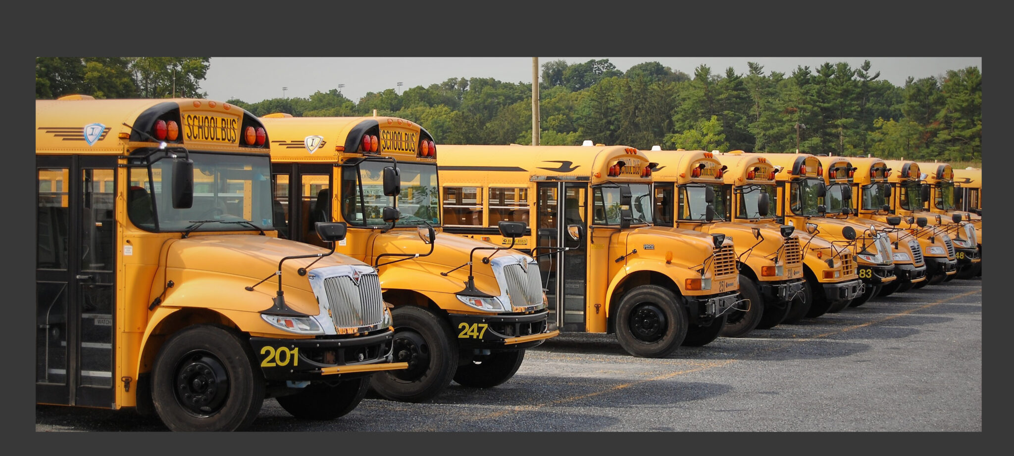 School buses