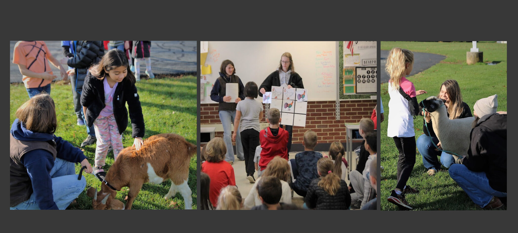 Photos of FFA members interacting with elementary students.