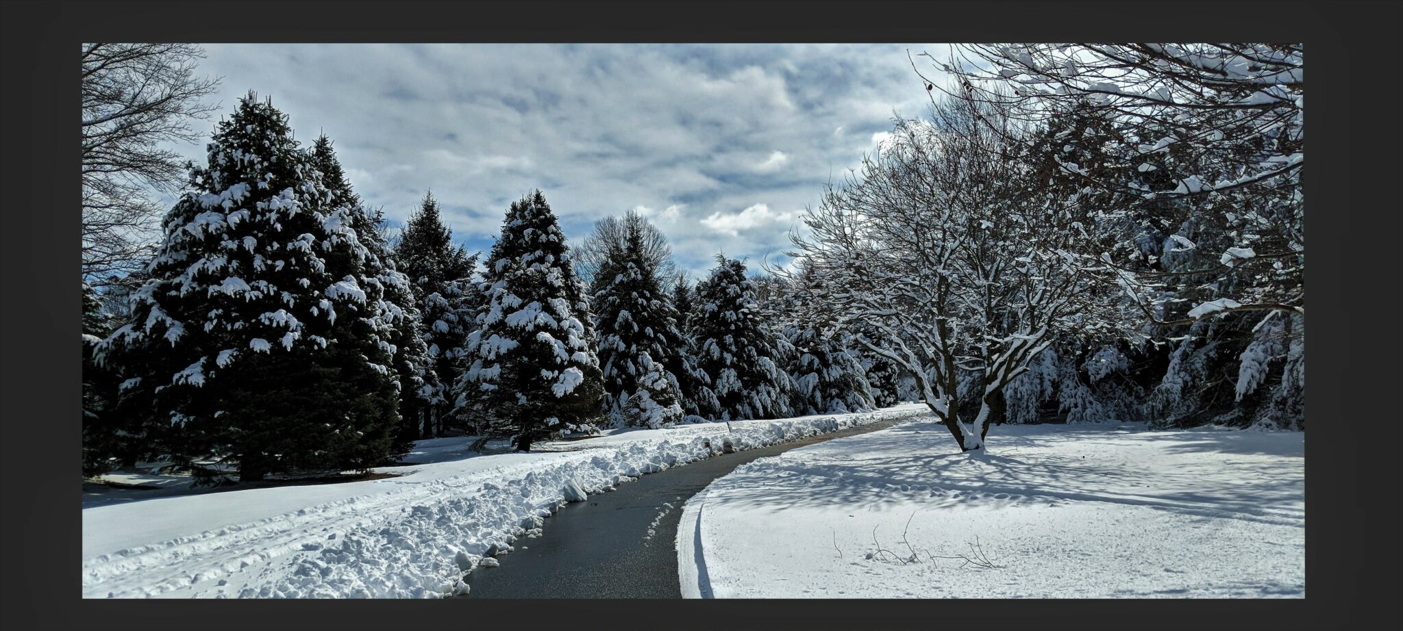 Photo of a snowy scene.