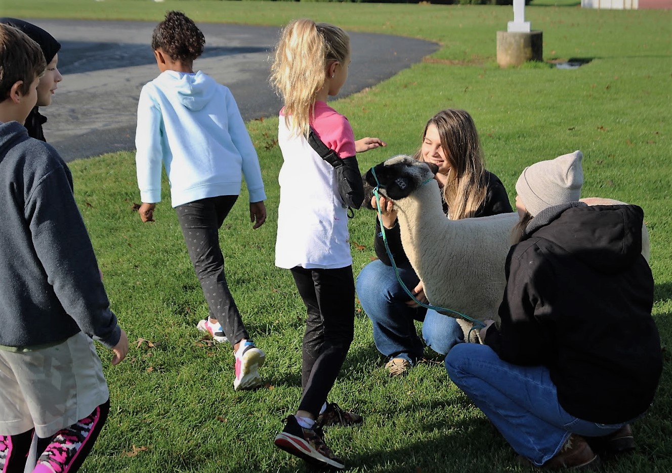 Photo of students with a sheep.