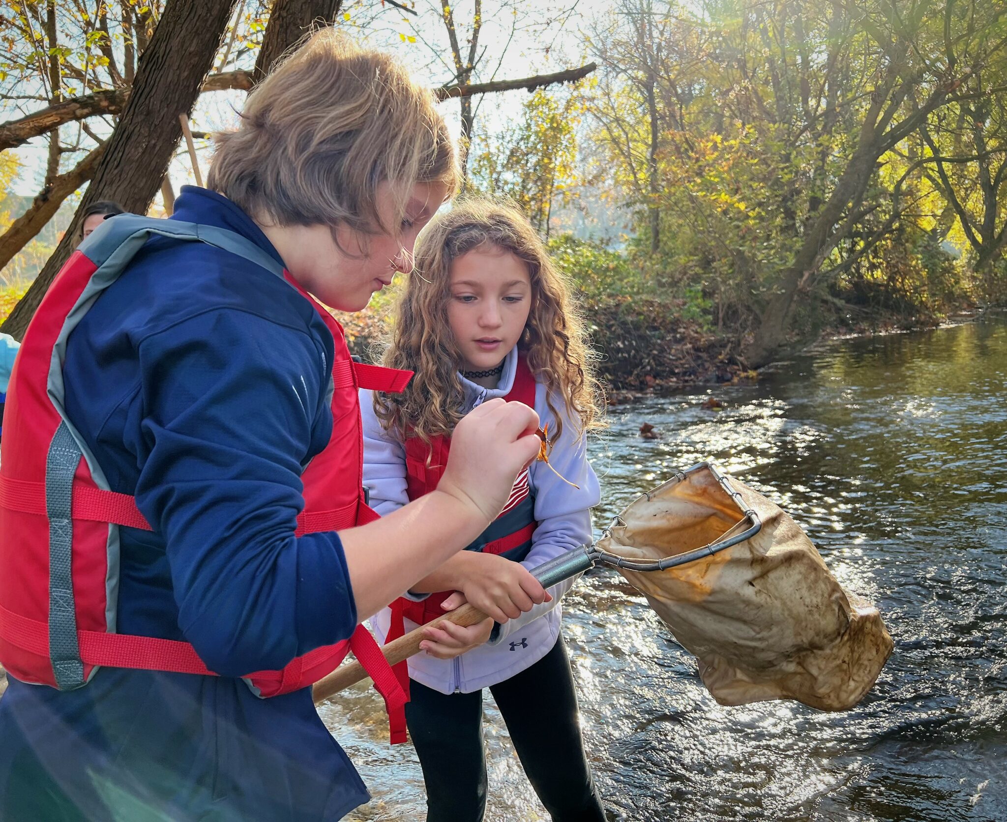 Photo of students collecting specimens during a stream study.