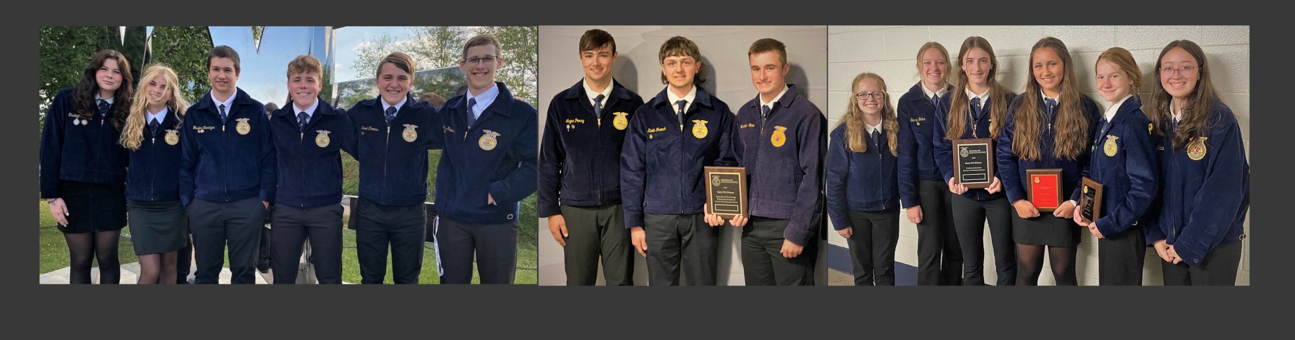 Three Manor FFA teams win state titles in competition 