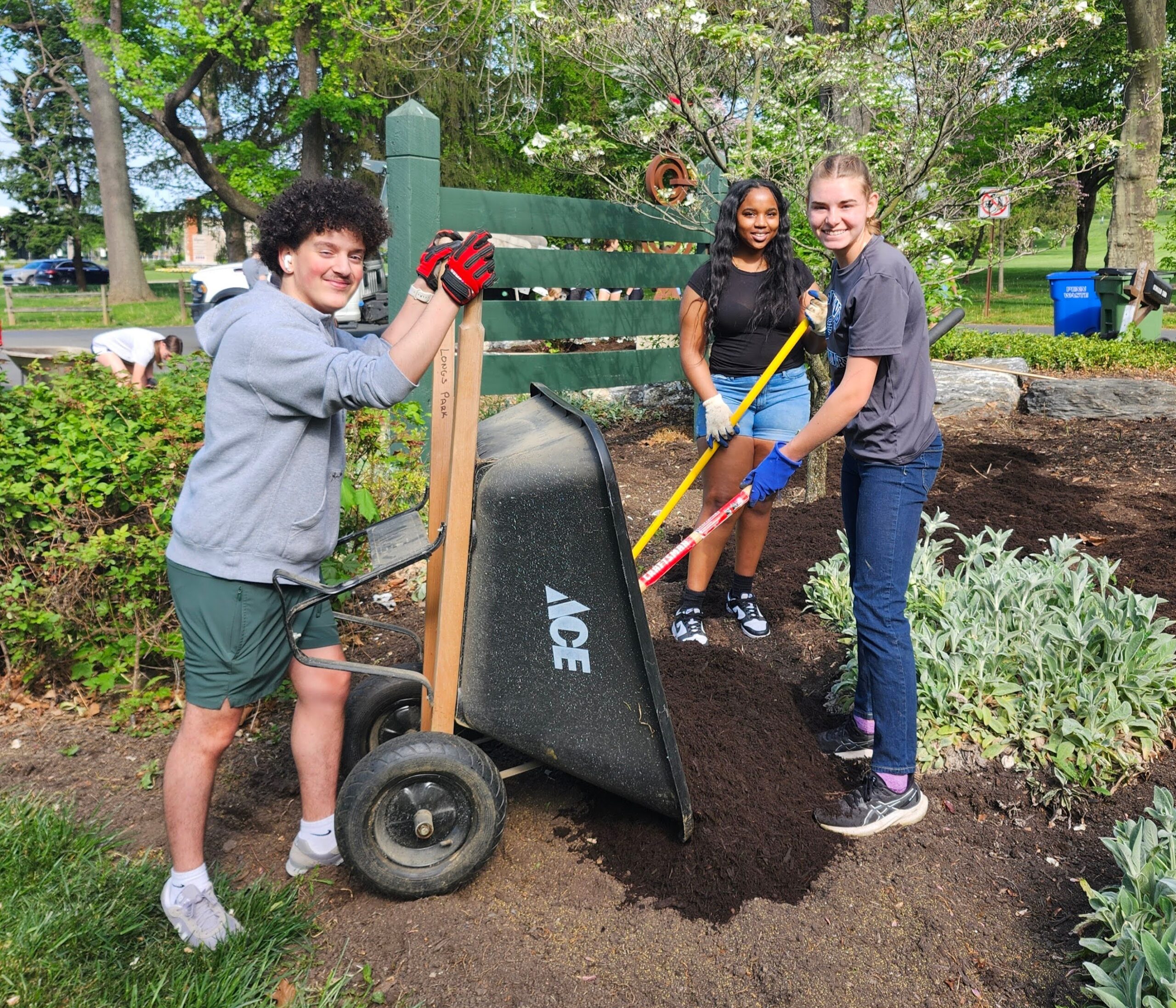 Three students dumping soil from a wheelbarrow at Long's Park