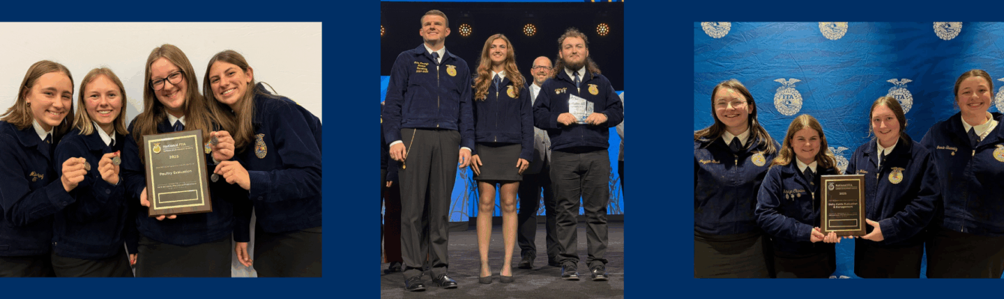 Manor FFA celebrates national awards from convention