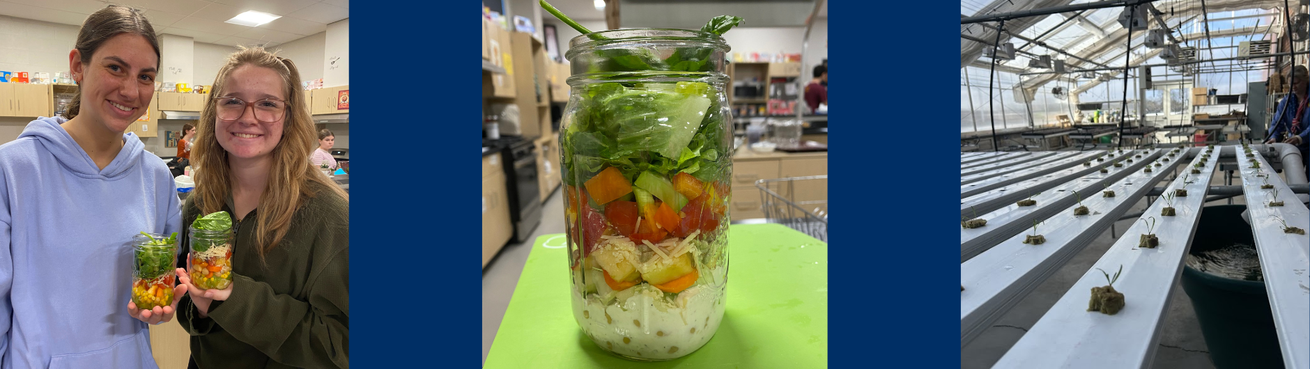 High school FCS and Horticulture classes collaborate